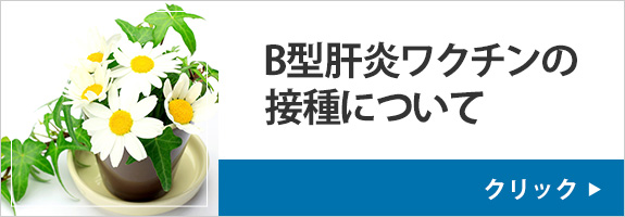 B型肝炎ワクチンの接種について